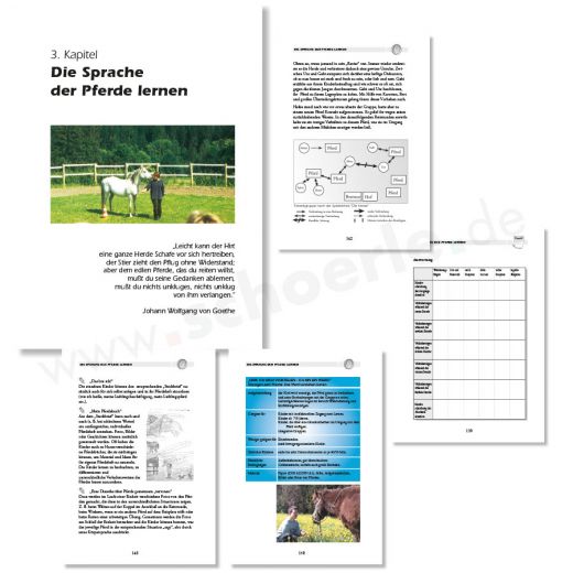 Die Sprache der Pferde lernen. Pferdeträume im ganzheitlichen Unterricht. Mit einem Theorieteil und einem Teil für Anwendungen und praktische Übungen. Mit viel Wissen und Infos zur Reittherapie