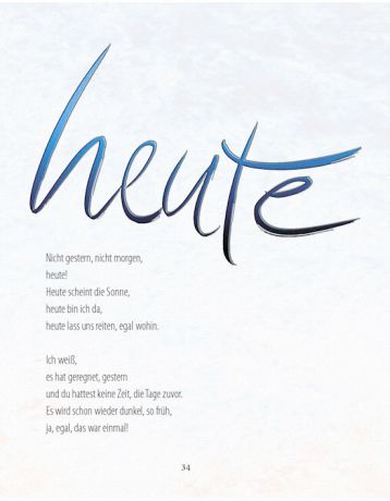 Sternenwanderer, Seelen-Botschaften eines Pferdes - Hardcover
