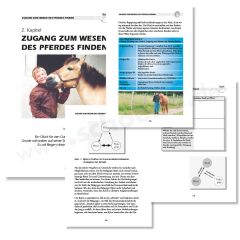 Kapitel 2: Zugang zum Wesen des Pferde finden. Mit einem Theorieteil und einem Teil für Anwendungen und praktische Übungen. Mit viel Wissen und Infos zur Reittherapie