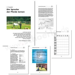 Die Sprache der Pferde lernen. Pferdeträume im ganzheitlichen Unterricht. Mit einem Theorieteil und einem Teil für Anwendungen und praktische Übungen. Mit viel Wissen und Infos zur Reittherapie